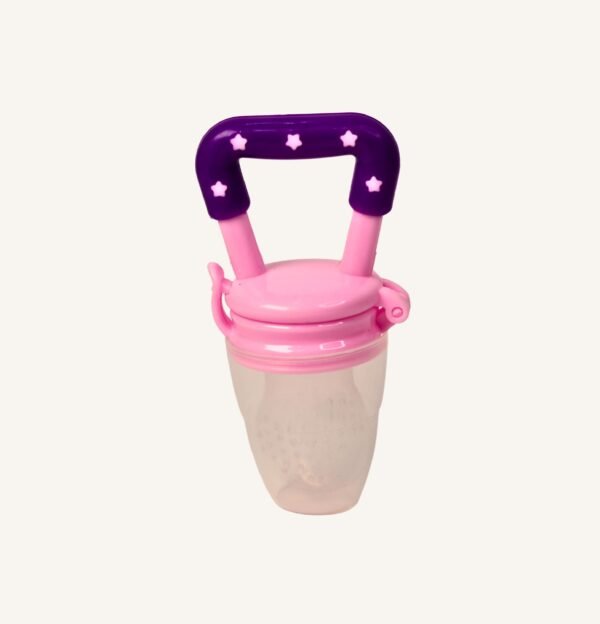 Baby Fruit Feeder & Soother